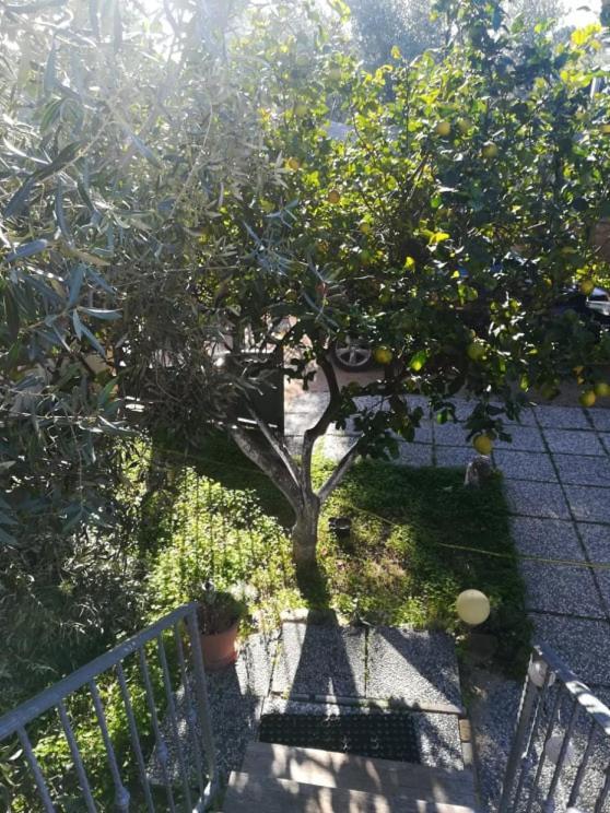 Sant Isidoro  Casa Cocco 아파트 외부 사진