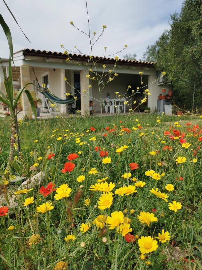 Sant Isidoro  Casa Cocco 아파트 외부 사진
